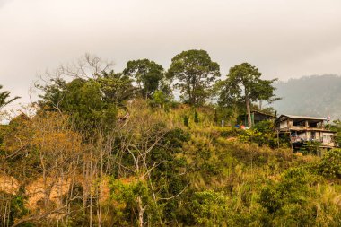 Tayland Phulangka Ulusal Parkı 'nda Dağ Manzaralı Küçük Ev.