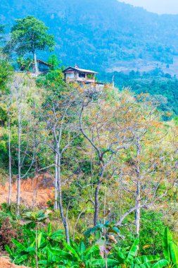 Tayland Phulangka Ulusal Parkı 'nda Dağ Manzaralı Küçük Ev.