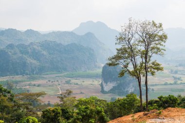 Phu Langka Ulusal Parkı, Tayland Güzel Manzarası.
