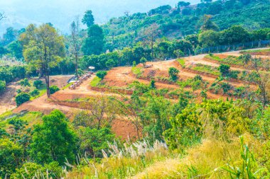 Phu Langka Ulusal Parkı, Tayland Güzel Manzarası.