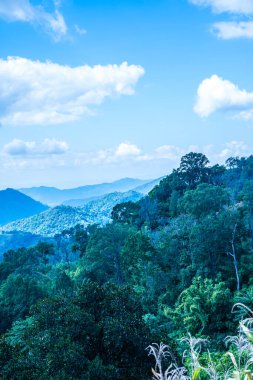 Tayland 'ın Chiangrai eyaletinde dağ manzarası.