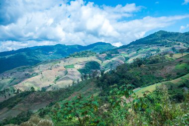 Tayland 'ın Chiangrai eyaletinde dağ manzarası.
