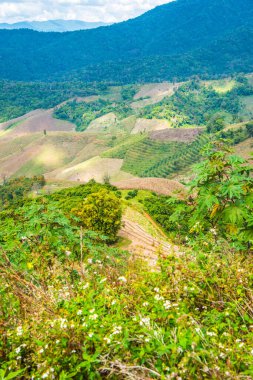 Tayland 'ın Chiangrai eyaletinde dağ manzarası.