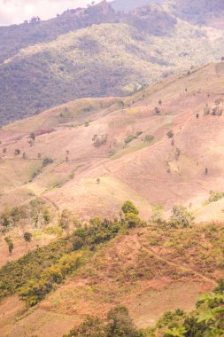 Tayland 'ın Chiangrai eyaletinde dağ manzarası.