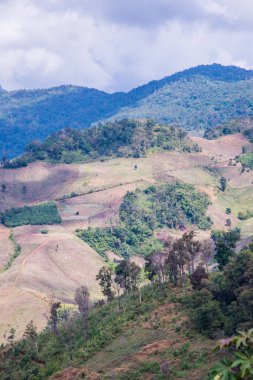 Tayland 'ın Chiangrai eyaletinde dağ manzarası.