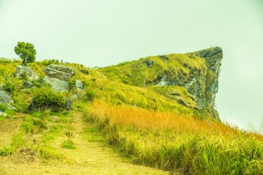 Chiangrai, Tayland 'daki Phu Chi Fa Dağı manzarası.