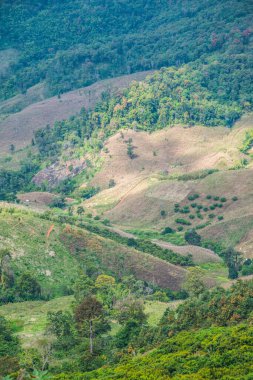 Tayland 'ın Chiangrai eyaletinde dağ manzarası.