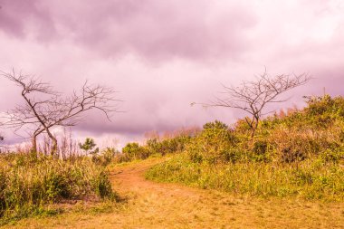Chiangrai, Tayland 'daki Phu Chi Fa Dağı manzarası.
