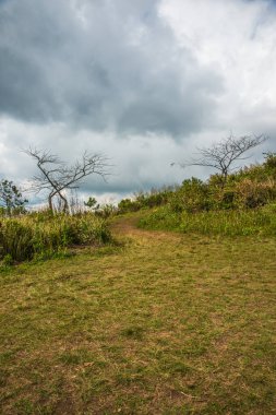 Chiangrai, Tayland 'daki Phu Chi Fa Dağı manzarası.