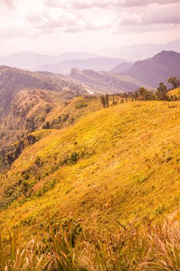 Chiangrai, Tayland 'daki Phu Chi Fa Dağı manzarası.