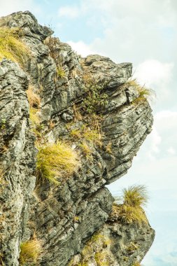 Chiangrai, Tayland 'daki Phu Chi Fa Dağı manzarası.
