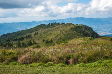 Chiangrai, Tayland 'daki Phu Chi Fa Dağı manzarası.