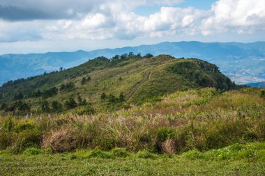 Mountain view of Phu Chi Fa at Chiangrai province, Thailand. clipart