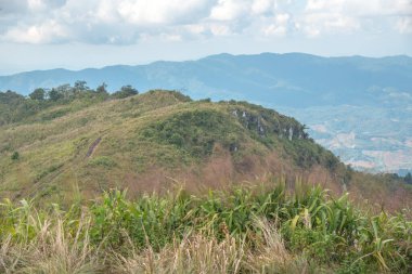 Chiangrai, Tayland 'daki Phu Chi Fa Dağı manzarası.