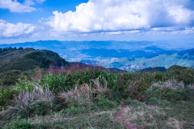 Chiangrai, Tayland 'daki Phu Chi Fa Dağı manzarası.