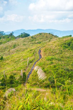 Chiangrai, Tayland 'daki Phu Chi Fa Dağı manzarası.