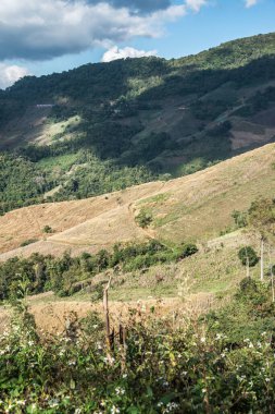 Tayland 'ın Chiangrai eyaletinde dağ manzarası.