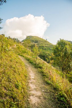 Tayland 'ın Chiangrai ilindeki Doi Pha Tang Dağı manzarası.