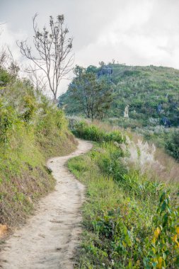 Tayland 'ın Chiangrai ilindeki Doi Pha Tang Dağı manzarası.