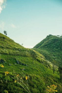 Tayland 'ın Chiangrai ilindeki Doi Pha Tang Dağı manzarası.