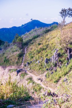 Tayland 'ın Chiangrai ilindeki Doi Pha Tang Dağı manzarası.