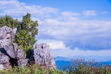 Tayland 'ın Chiangrai ilindeki Doi Pha Tang Dağı manzarası.