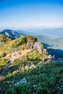 Tayland 'ın Chiangrai ilindeki Doi Pha Tang Dağı manzarası.