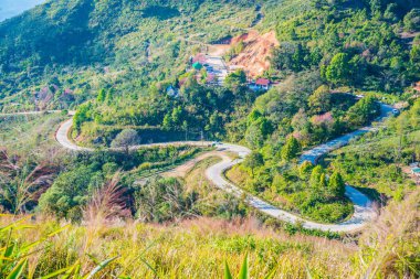 Chiangrai, Tayland 'da Doi Pha Tang yolu..