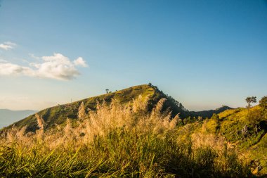 Tayland 'ın Chiangrai ilindeki Doi Pha Tang Dağı manzarası.