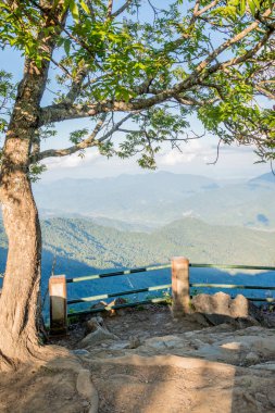 Doi Pha Tang 'ın Chiangrai, Tayland' daki görüş açısı.