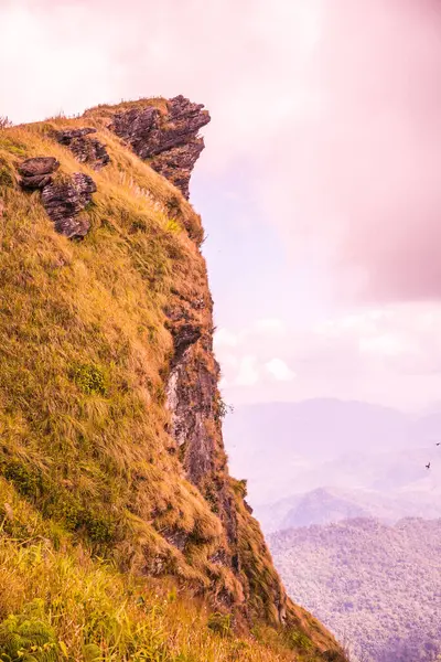 Chiangrai, Tayland 'daki Phu Chi Fa Dağı manzarası.