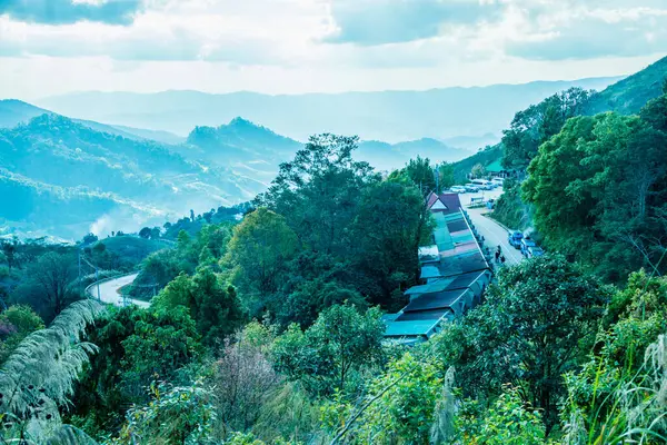 Tayland 'ın Chiangrai ilindeki Doi Pha Tang Dağı manzarası.