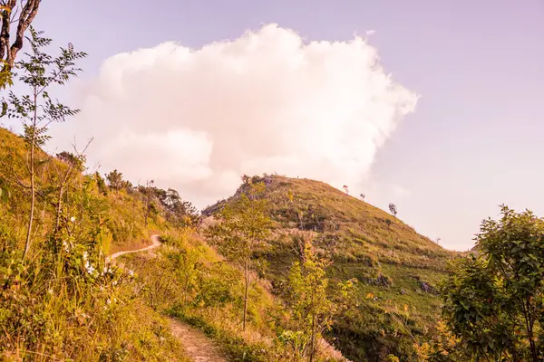 Tayland 'ın Chiangrai ilindeki Doi Pha Tang Dağı manzarası.
