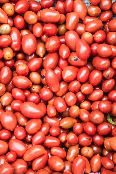 Kırmızı domateslerin arka planı, Tayland.