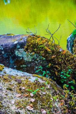 Tayland 'ın Chiangmai bölgesinde yeşil gölü olan antik bir taş..