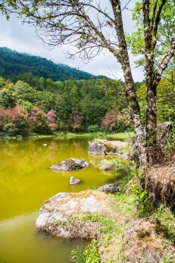Tayland 'ın Chiangmai bölgesinde yeşil gölü olan antik bir taş..