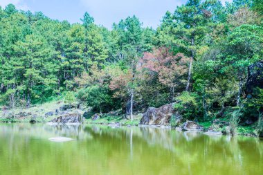 Tayland 'ın Chiangmai ilindeki yeşil göl manzarası..