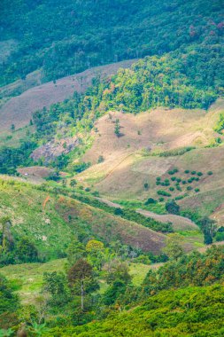 Tayland 'ın Chiangrai eyaletinde dağ manzarası.