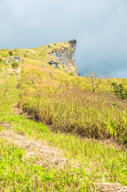 Chiangrai, Tayland 'daki Phu Chi Fa Dağı manzarası.