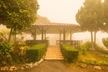 Tayland 'ın Phayao eyaletinde kış mevsiminde sisli bir huzurevi..