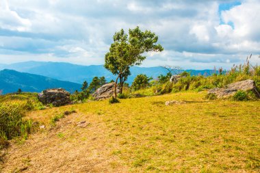 Chiangrai, Tayland 'daki Phu Chi Fa Dağı manzarası.