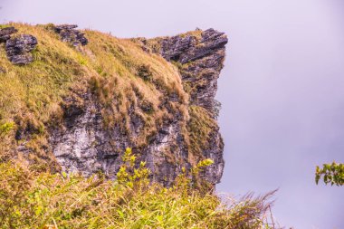 Chiangrai, Tayland 'daki Phu Chi Fa Dağı manzarası.