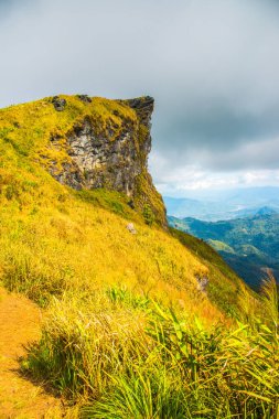 Chiangrai, Tayland 'daki Phu Chi Fa Dağı manzarası.