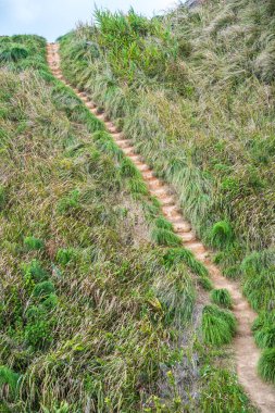 Phu Chi Fa, Tayland 'da dağda yürüyüş yolu.