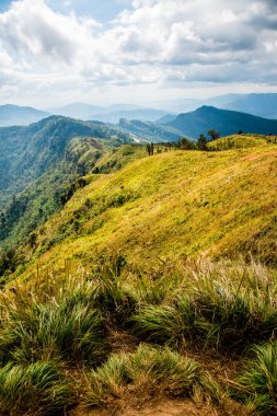 Chiangrai, Tayland 'daki Phu Chi Fa Dağı manzarası.