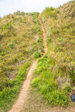 Phu Chi Fa, Tayland 'da dağda yürüyüş yolu.
