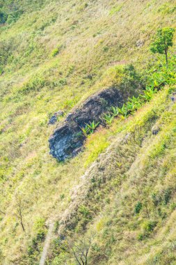 Chiangrai, Tayland 'daki Phu Chi Fa Dağı manzarası.