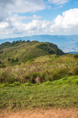 Chiangrai, Tayland 'daki Phu Chi Fa Dağı manzarası.