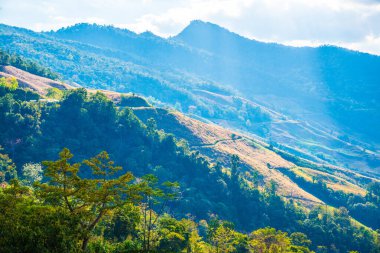 Tayland 'ın Chiangrai eyaletinde dağ manzarası.