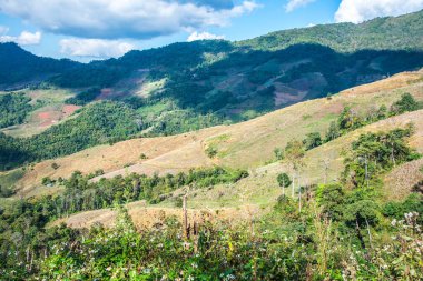 Tayland 'ın Chiangrai eyaletinde dağ manzarası.